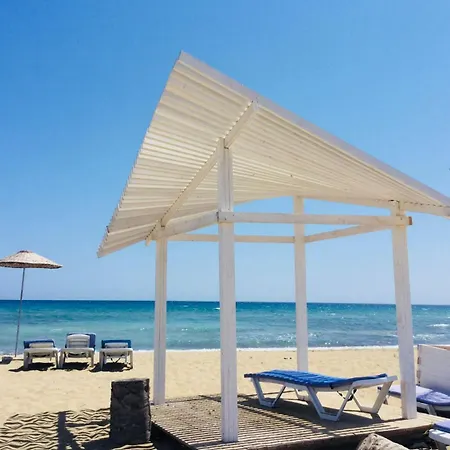 двухкомнатные в жилом комплексе Caesar Blue Helena G2 Apartament *